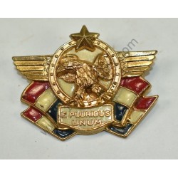 Patriotic pin