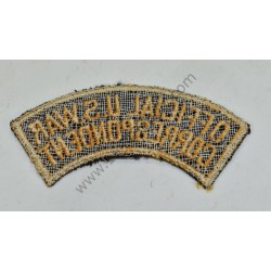 Official US War correspondent patch
