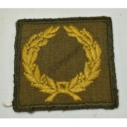 Meritorious service unit badge