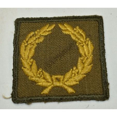 Meritorious service unit badge