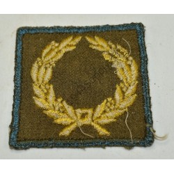 Meritorious service unit badge