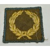 Meritorious service unit badge