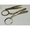 Tourniquet, Scissors, & Forceps