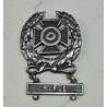 Expert qualification badge