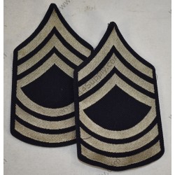 Grades de Master Sergeant (M / Sgt)