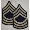 Grades de Master Sergeant (M / Sgt)