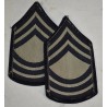 Grades de Master Sergeant (M / Sgt)