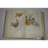 Private Breger's War, cartoons