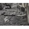 Photo de médecins transportant une victime
