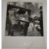 Photo de la récupération des corps à Malmedy