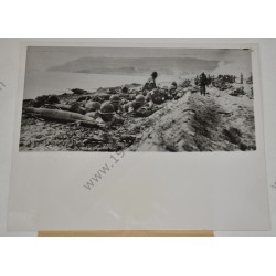 Photo de médecins sur une plage du sud de la France
