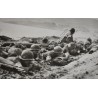 Photo of medics on the beach in Southern France