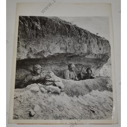 Photo of Tank Destroyer crew in dug out