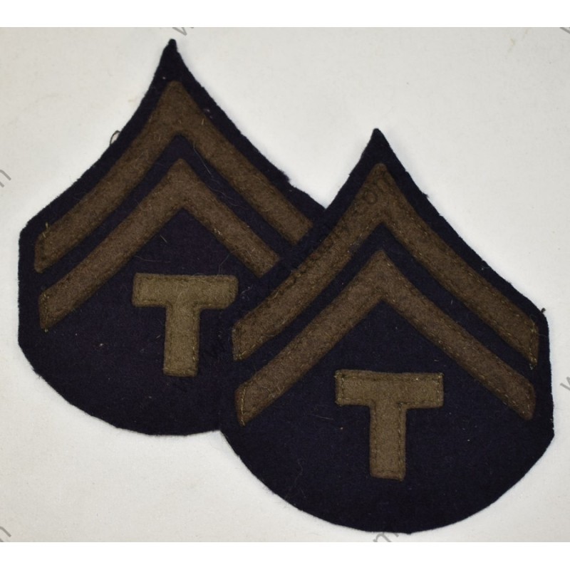 Technician 5th grade (T/5 - Tech 5) chevrons
