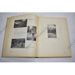 329 "Buckshot" Infantry Regiment (83rd Division)  - 7