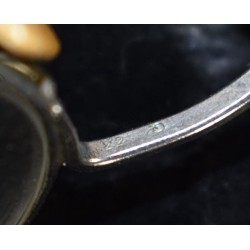 GI spectacles