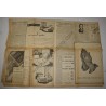 Journal du 6 juin 1944
