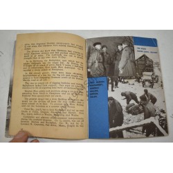 Railsplitters, the story of the 84th Infantry Division