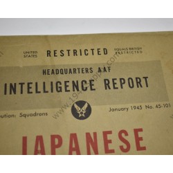 Japanese Fighter Tactics