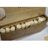 Boîte de premiers soins, Véhicule, 12 unités complète