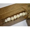 First Aid kit, Motor Vehicle, 13-Unit complete, USMC