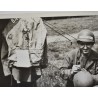 Photo of 4th Division painted liners