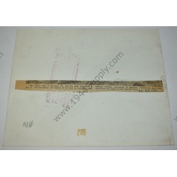 Photo of 4th Division painted liners