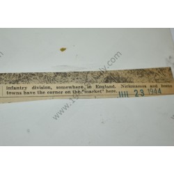 Photo of 4th Division painted liners