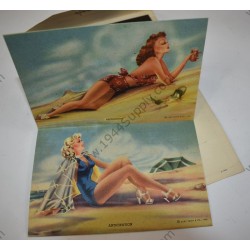 Fold out Pin Up postcard