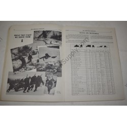 The Ordnance Sergeant