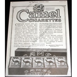 Cartouche Camel