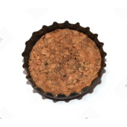 Bouchon de bouteille de Coca Cola