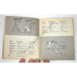 Danish language guide
