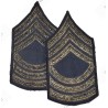 Grades de Master Sergeant (M/Sgt)