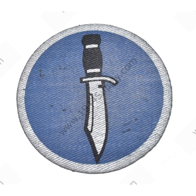 Patch Kiska task force