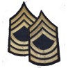 Grades de Master Sergeant (M/Sgt)