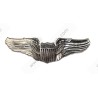 USAAF Pilot Wings sur carte