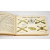 A guide to US ARMY insignia and decorations  - 4