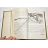 TM-E 30-451 Handbook on German military Forces  - 11
