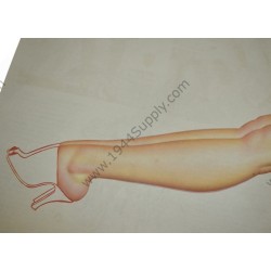 Petty Pin Up gatefold "It does seem a little flimsy..."