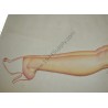 Petty Pin Up gatefold "It does seem a little flimsy..."