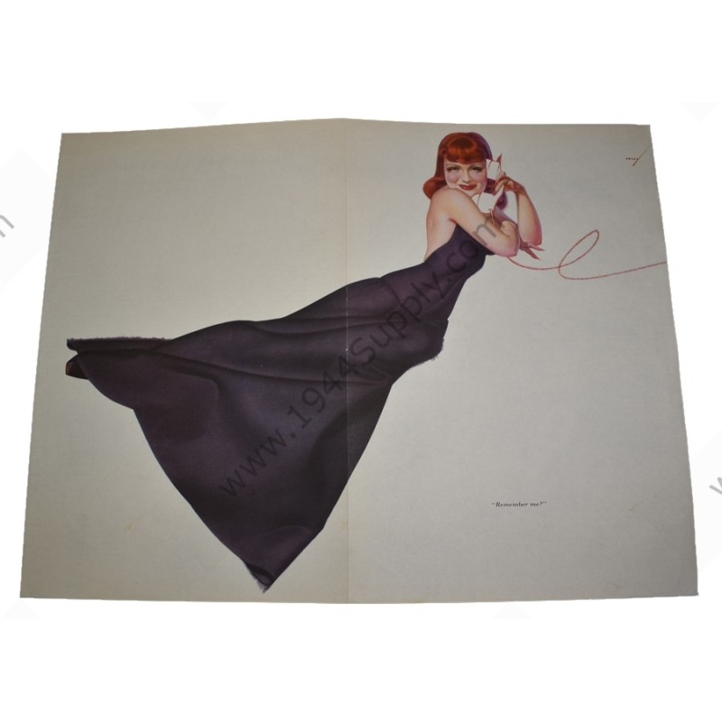 Petty Pin Up gatefold "Remember me?"