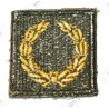 Meritorious service unit badge