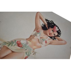 Varga Pin Up gatefold "Classic Example"