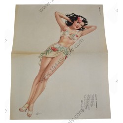 Varga Pin Up gatefold "Classic Example"