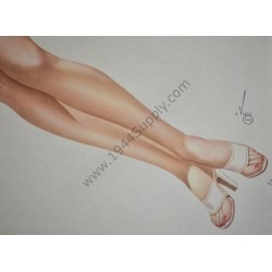 Varga Pin Up gatefold "Classic Example"
