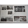 8th Infantry Regiment (4th Division) book