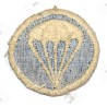 Paratrooper cap badge