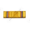 Ruban de décoration American Defense Service