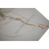 Varga Pin Up gatefold "Lady of Letters"
